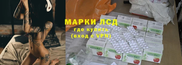 гидра Абаза