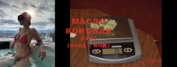 гидра Абаза