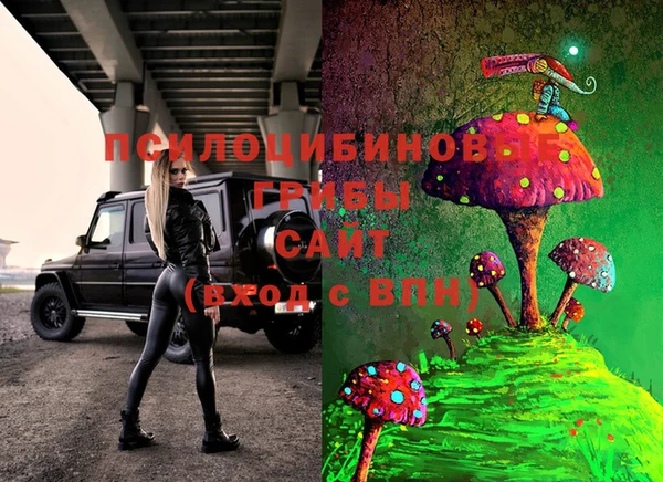гашик Абдулино