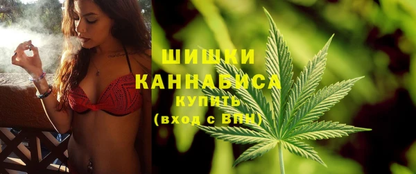 гидра Абаза