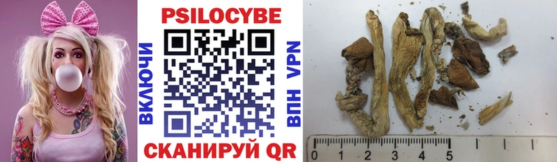 Галлюциногенные грибы GOLDEN TEACHER  цена наркотик  Усть-Кут 
